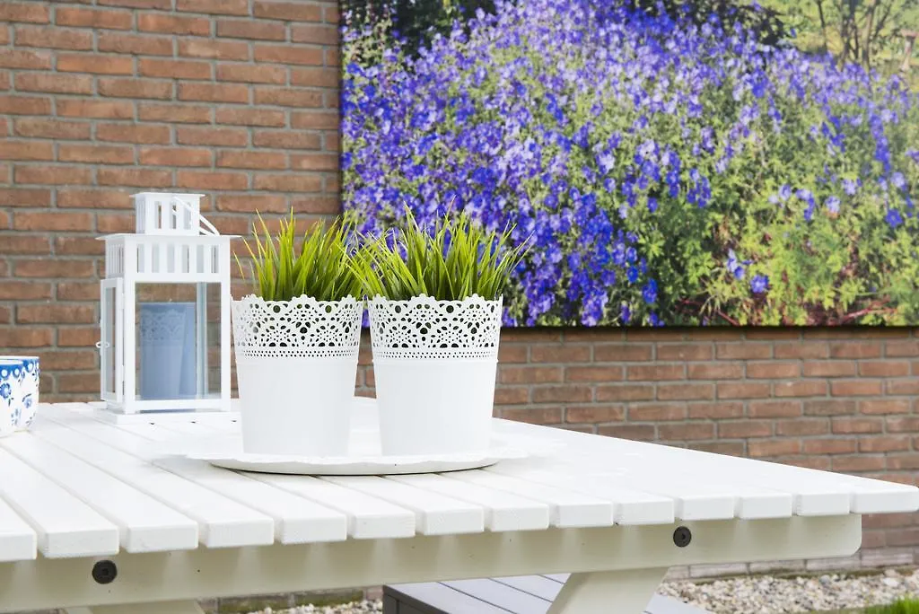 Bed&Breakfast De Reggestee-1